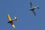 282IMG_8615