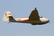 381IMG_8982