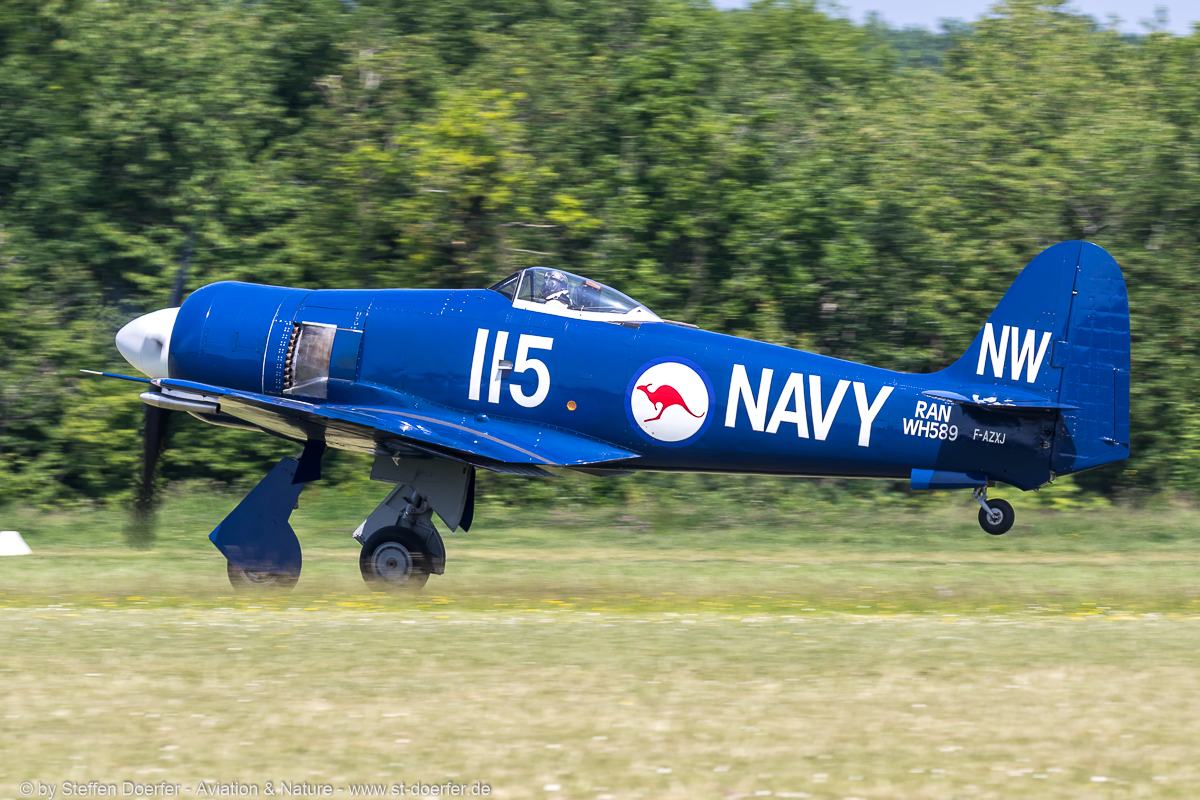 140IW5A7253