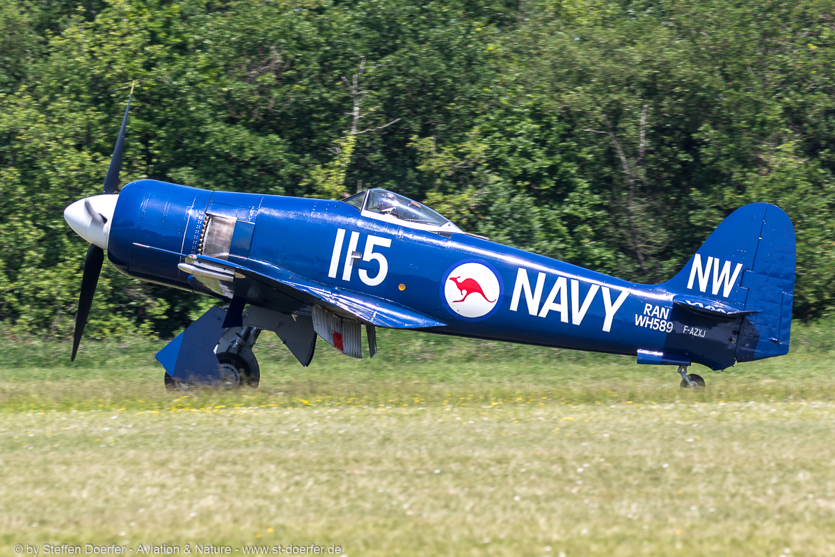 141IW5A7437