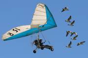 160IMG_7652