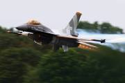 241IMG_6632