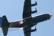 250IMG_8145