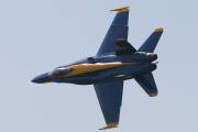 261IMG_8245
