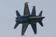 261IMG_8247