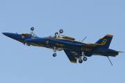 261IMG_8268
