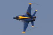 261IMG_8286
