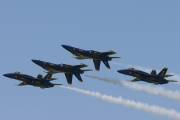 261IMG_8293