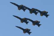 261IMG_8391