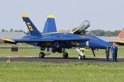 261IMG_8442