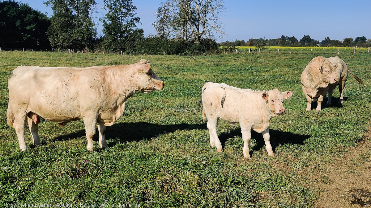 641IMG_20210918_103118