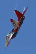 043IMG_0361