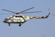 124IMG_5617