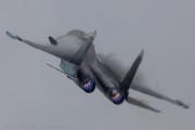 161IMG_1860