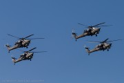 260IMG_3496