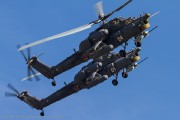 260IMG_3561