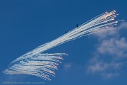 260IMG_3566