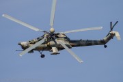 490IMG_2983