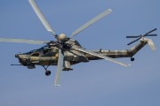 490IMG_2985