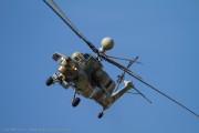 490IMG_3006