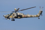 490IMG_3021