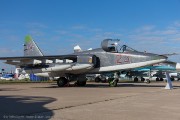 810IMG_8953
