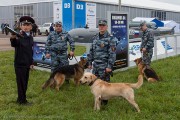 958IMG_8077