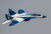 255IMG_8948