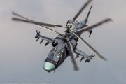 460IMG_7935