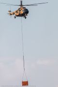480IMG_6883