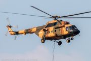 480IMG_6889