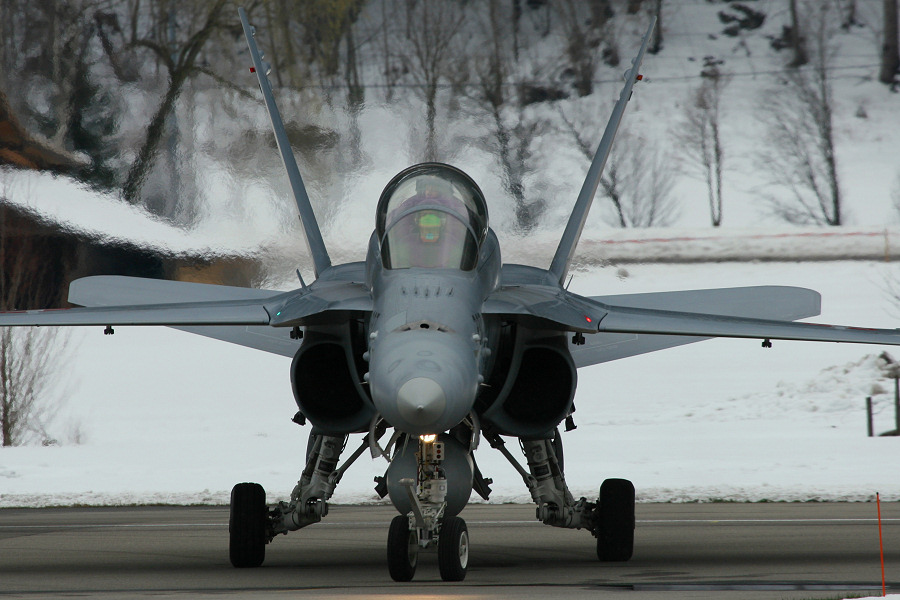 fa18IMG_9805