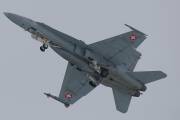 fa18IMG_9461