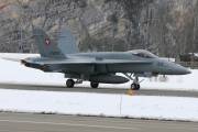 fa18IMG_9498