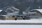 fa18IMG_9644