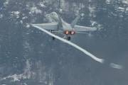 fa18IMG_9667