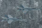 fa18IMG_9705