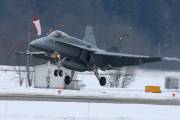 fa18IMG_9742