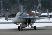 fa18IMG_9769