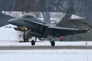 fa18IMG_9787