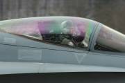 fa18IMG_9939