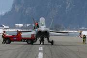 fru1IMG_0220