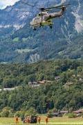 241IMG_6782