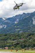 241IMG_6803
