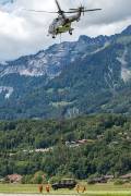 242IMG_6863