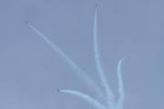 234IMG_4655