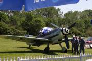 017CRW_9494