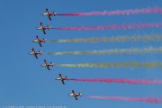 546IMG_7294
