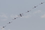 100IMG_6575
