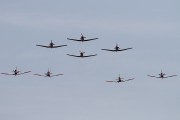 100IMG_6608